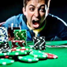Вход на официальный сайт AVOCADO CASINO
